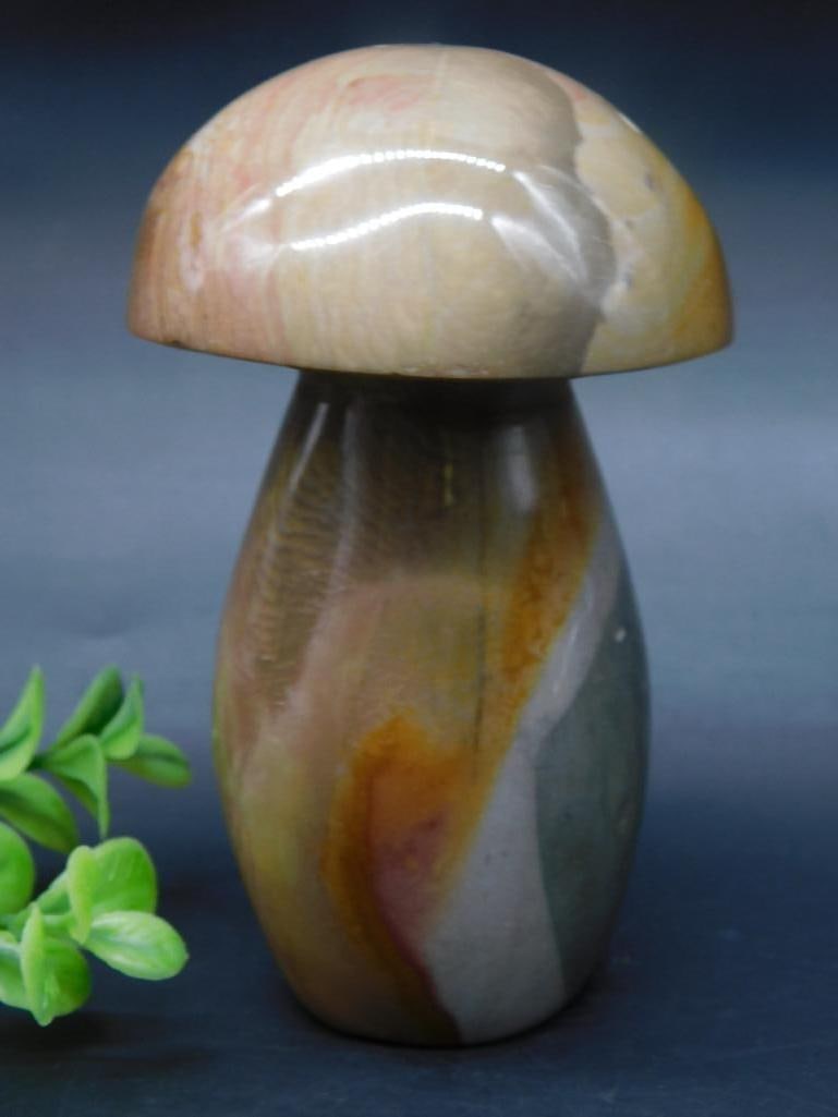 POLYCHROME JASPER MUSHROOM ROCK STONE LAPIDARY SPECIMEN (1 of 2)