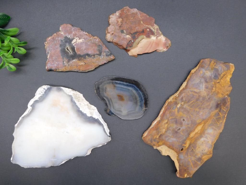 STONE SLABS ROCK STONE LAPIDARY SPECIMEN (1 of 2)