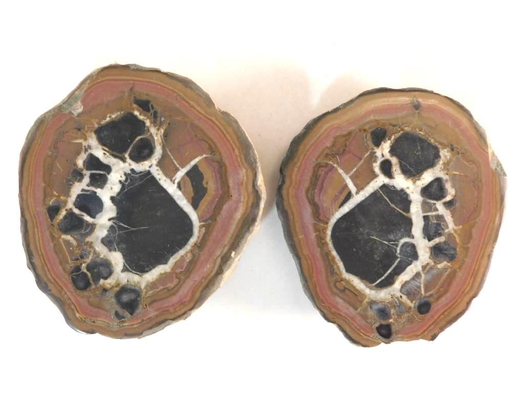 SEPTARIAN HALVES ROCK STONE LAPIDARY SPECIMEN (1 of 4)