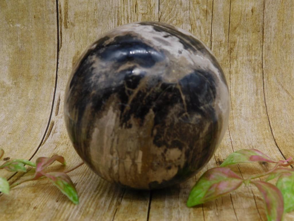 3 POUND PETRIFIED WOOD SPHERE ROCK STONE LAPIDARY SPECIMEN (1 of 2)