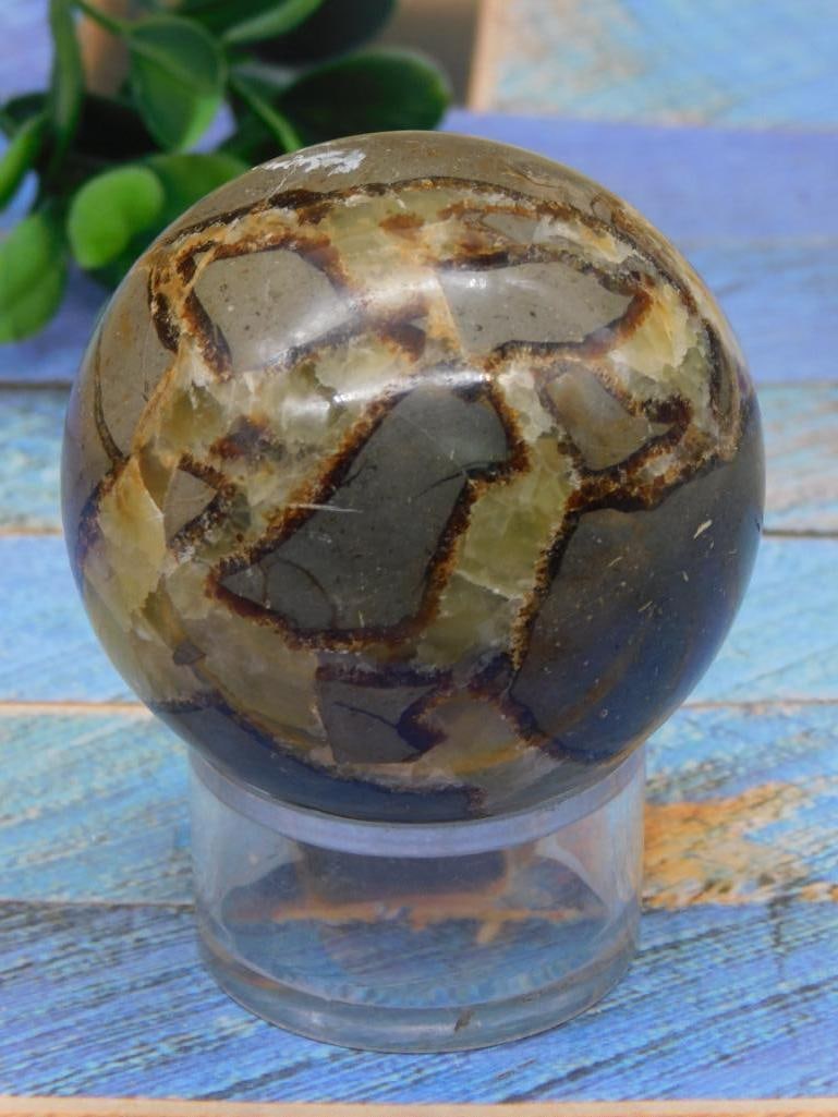 SEPTARIAN SPHERE ROCK STONE LAPIDARY SPECIMEN (1 of 2)