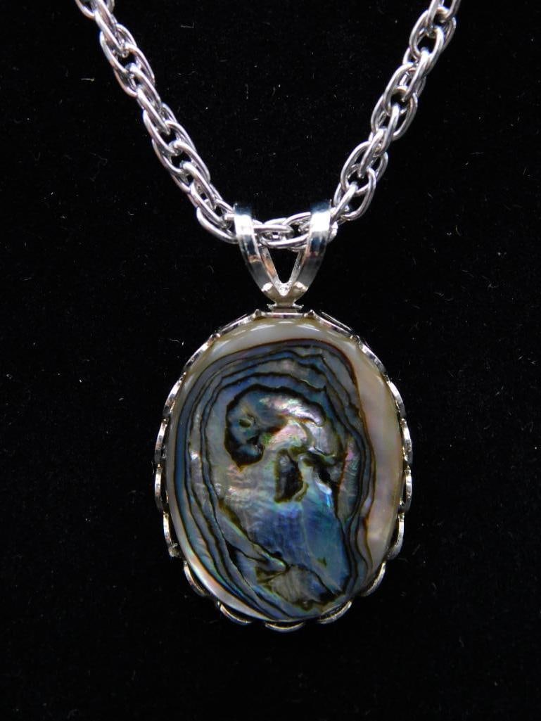 ABALONE PENDANT ON CHAIN NECKLACE ROCK STONE LAPIDARY SPECIMEN (1 of 3)