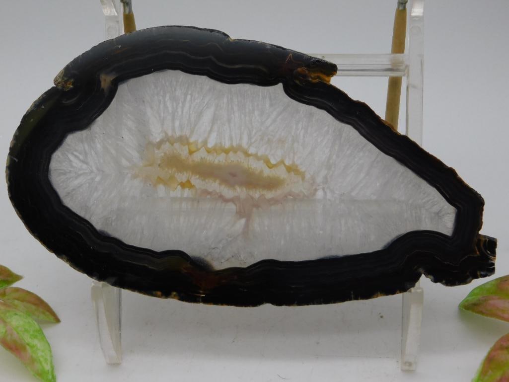 AGATE SLICE ROCK STONE LAPIDARY SPECIMEN: AGATE SLICE ROCK STONE LAPIDARY SPECIMEN