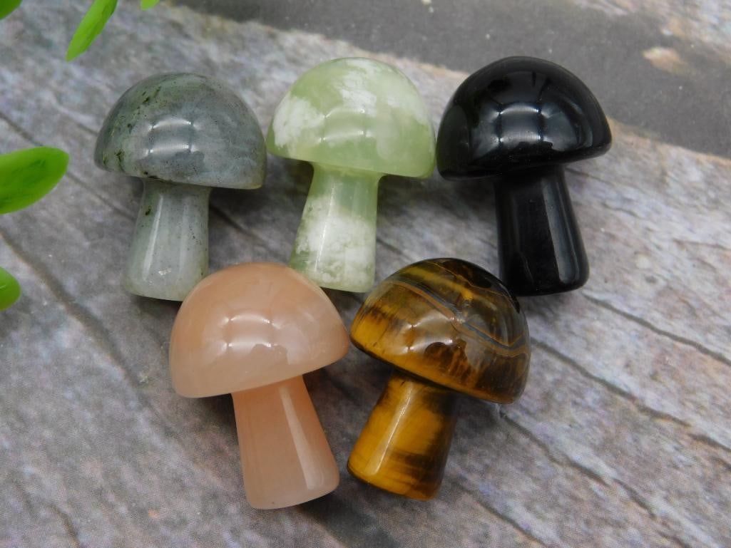 STONE MUSHROOMS ROCK STONE LAPIDARY SPECIMEN (1 of 2)