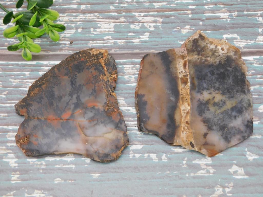 DENDRITIC AGATE SLAB ROCK STONE LAPIDARY SPECIMEN (1 of 2)