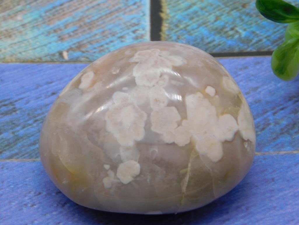 HATMANS FLOWER PETAL AGATE ROCK STONE LAPIDARY SPECIMEN (1 of 2)