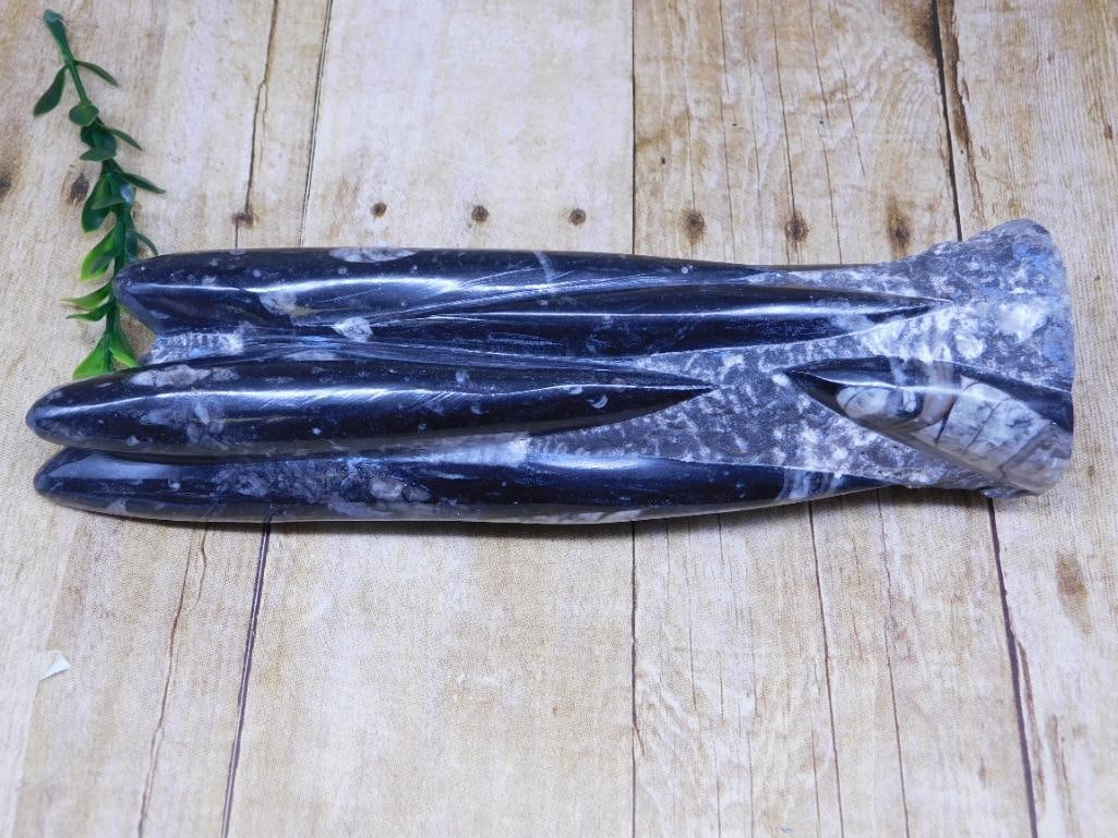 ORTHOCERAS STATUE ROCK STONE LAPIDARY SPECIMEN (1 of 2)