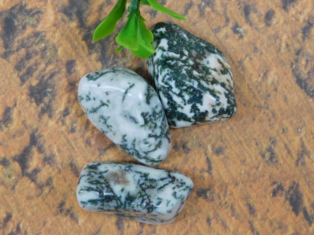 TREE AGATE ROCK STONE LAPIDARY SPECIMEN (1 of 2)