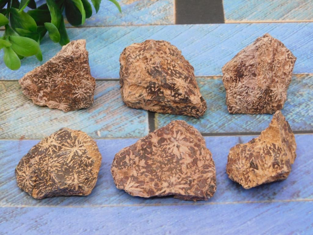 STARBURST JASPER ROCK STONE LAPIDARY SPECIMEN (1 of 2)