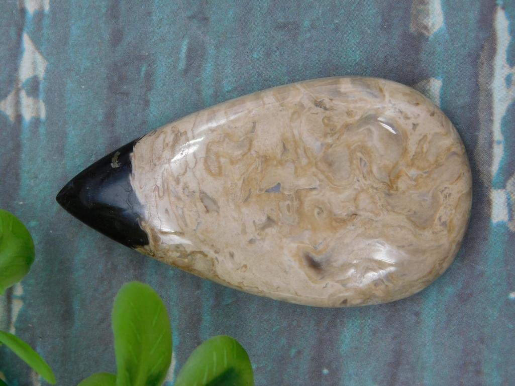 PETRIFIED PALM WOOD CABOCHON ROCK STONE LAPIDARY SPECIMEN (1 of 2)