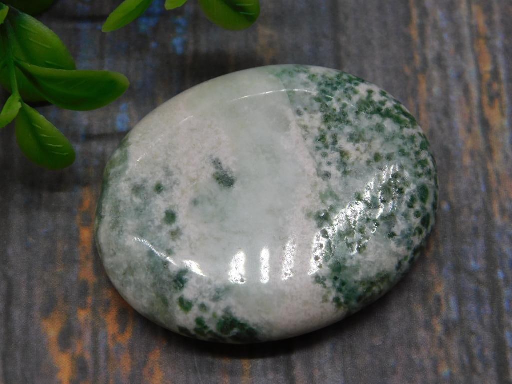 TREE AGATE WORRY STONE ROCK STONE LAPIDARY SPECIMEN (1 of 2)
