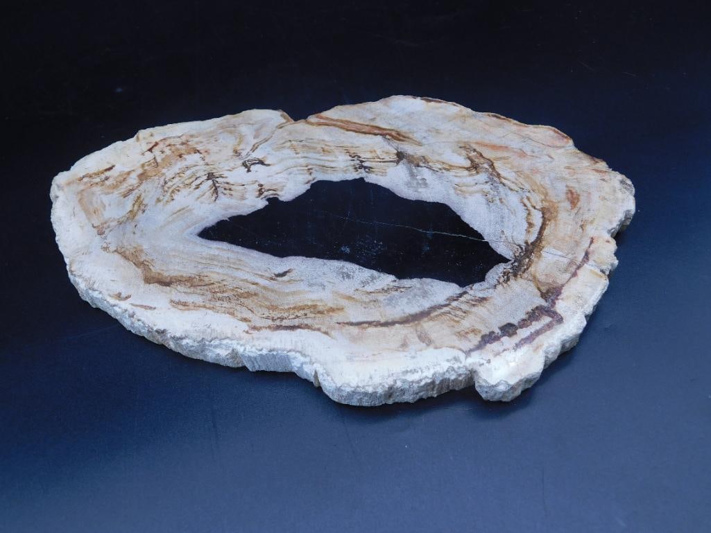 PETRIFIED WOOD SLAB ROCK STONE LAPIDARY SPECIMEN (1 of 2)
