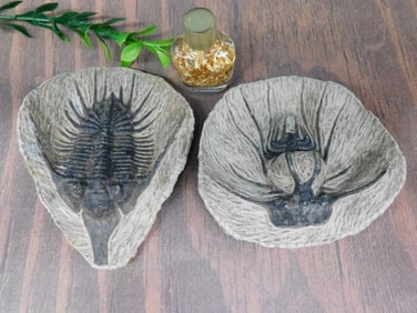 MIXED LOT ROCK STONE LAPIDARY SPECIMEN