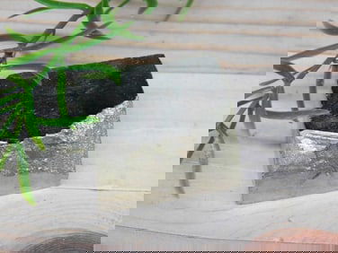 NATURAL FORMATION SPANISH PYRITE ROCK STONE LAPIDARY SPECIMEN