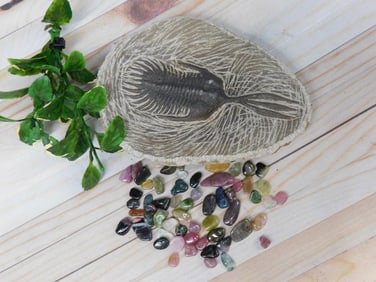 MIXED LOT ROCK STONE LAPIDARY SPECIMEN