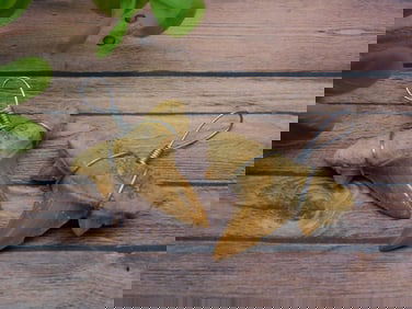 SHARK TOOTH PENDANTS ROCK STONE LAPIDARY SPECIMEN