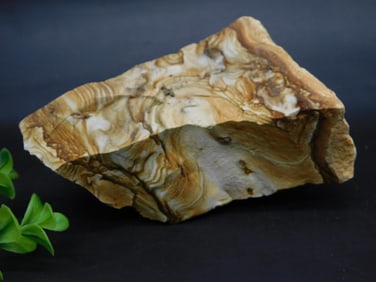 JASPER ROCK STONE LAPIDARY SPECIMEN