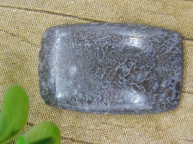 DINOSAUR BONE CABOCHON ROCK STONE LAPIDARY SPECIMEN