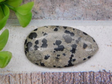 DALMATION JASPER CABOCHON ROCK STONE LAPIDARY SPECIMEN