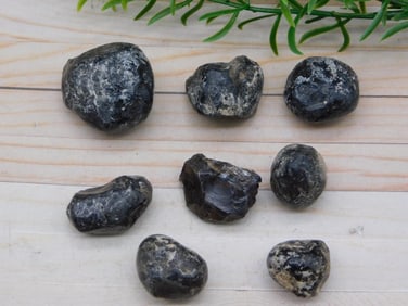 APACHE TEARS ROCK STONE LAPIDARY SPECIMEN