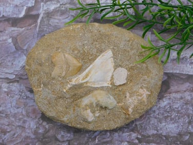 SILVER FLAKES IN BOTTLE ROCK STONE LAPIDARY SPECIMEN