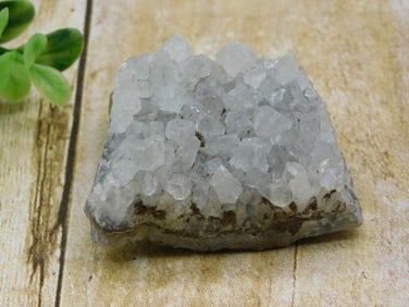 AGATE ROCK STONE LAPIDARY SPECIMEN