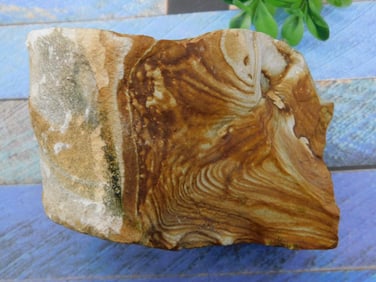 JASPER ROCK STONE LAPIDARY SPECIMEN