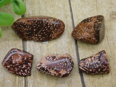 STARBURST JASPER ROCK STONE LAPIDARY SPECIMEN