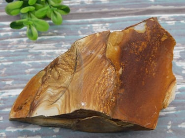 JASPER ROCK STONE LAPIDARY SPECIMEN