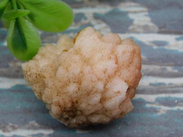 ROCK STONE LAPIDARY SPECIMEN