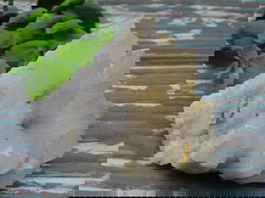 QUARTZ ROCK STONE LAPIDARY SPECIMEN