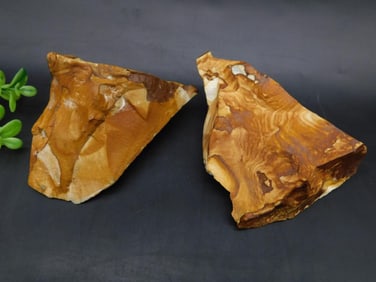 JASPER ROCK STONE LAPIDARY SPECIMEN
