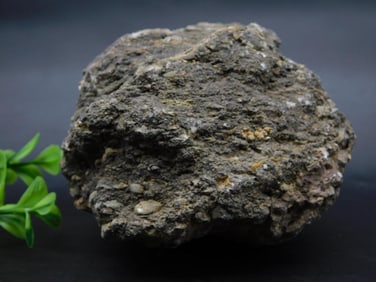 BLOODSTONE ROCK STONE LAPIDARY SPECIMEN