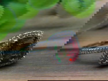 STONE RING ROCK STONE LAPIDARY SPECIMEN