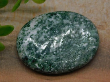 TREE AGATE WORRY STONE ROCK STONE LAPIDARY SPECIMEN