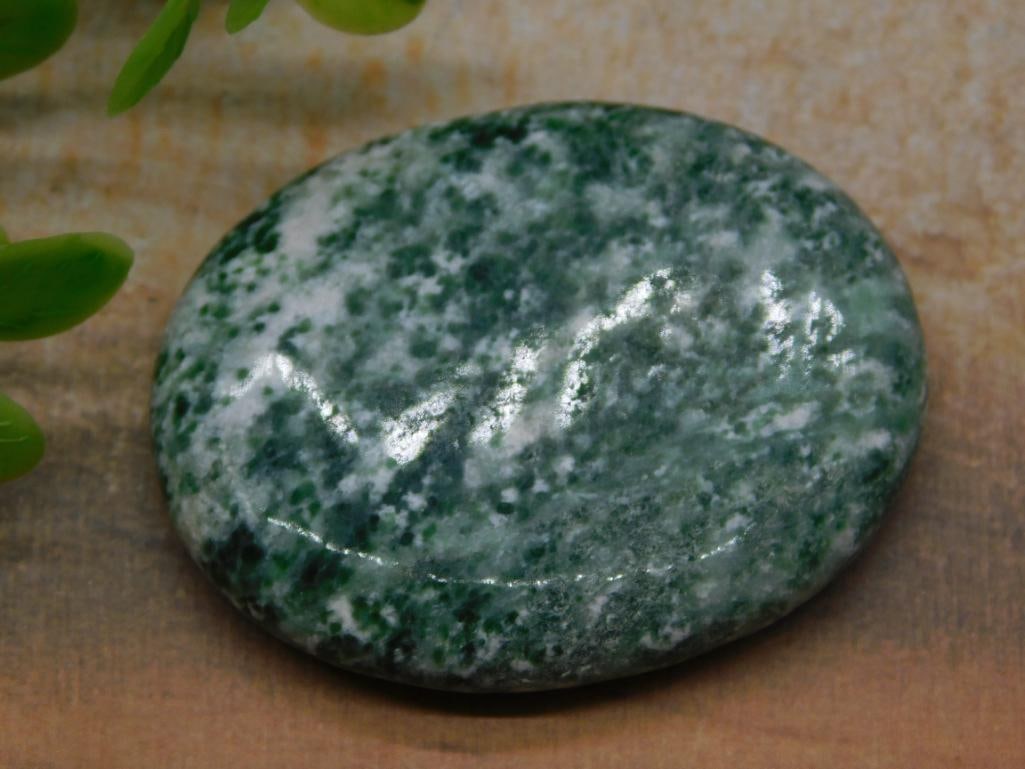 TREE AGATE WORRY STONE ROCK STONE LAPIDARY SPECIMEN (1 of 2)