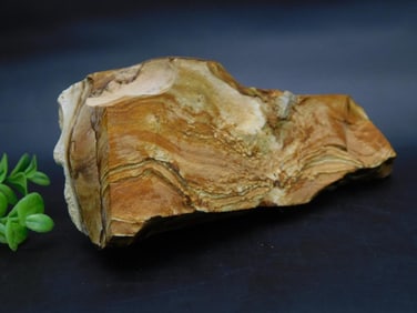 JASPER ROCK STONE LAPIDARY SPECIMEN