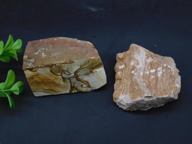 ROCK STONE LAPIDARY SPECIMEN