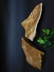 ROCK STONE LAPIDARY SPECIMEN