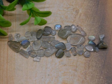 TOURMALINE IN QUARTZ ROCK STONE LAPIDARY SPECIMEN