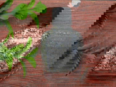 ROCK STONE LAPIDARY SPECIMEN