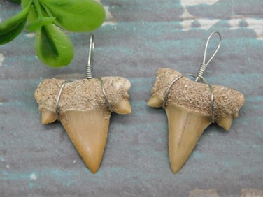 SHARK TEETH PENDANTS ROCK STONE LAPIDARY SPECIMEN