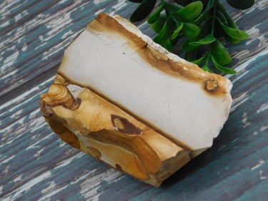 JASPER ROCK STONE LAPIDARY SPECIMEN