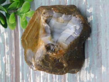 AGATE ROCK STONE LAPIDARY SPECIMEN