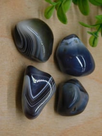 BOTSWANA AGATE ROCK STONE LAPIDARY SPECIMEN