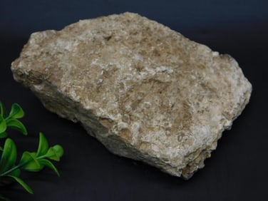 BLOODSTONE ROCK STONE LAPIDARY SPECIMEN