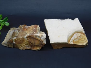 JASPER ROCK STONE LAPIDARY SPECIMEN