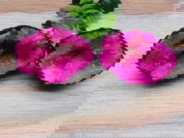 PINK GEODE ROCK STONE LAPIDARY SPECIMEN