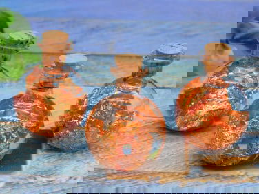 COPPER FLAKES IN BOTTLE ROCK STONE LAPIDARY SPECIMEN