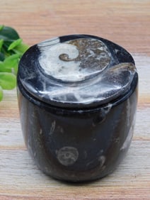 ORTHOCERAS TRINKET BOX ROCK STONE LAPIDARY SPECIMEN